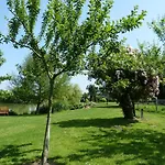 Les Guedrils * Genêts