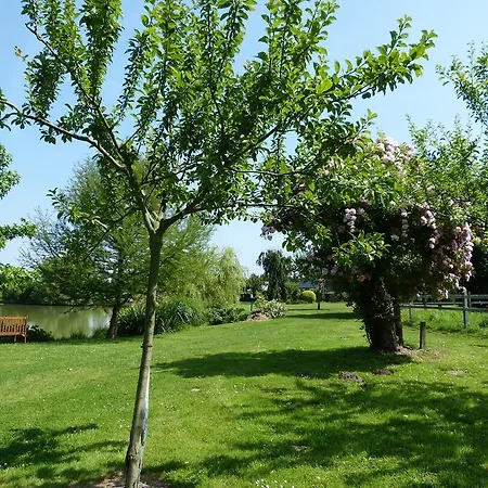 Les Guedrils * Genêts