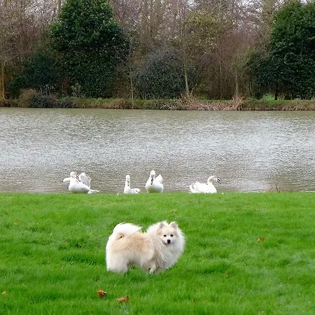 בית נופש Les Guedrils *