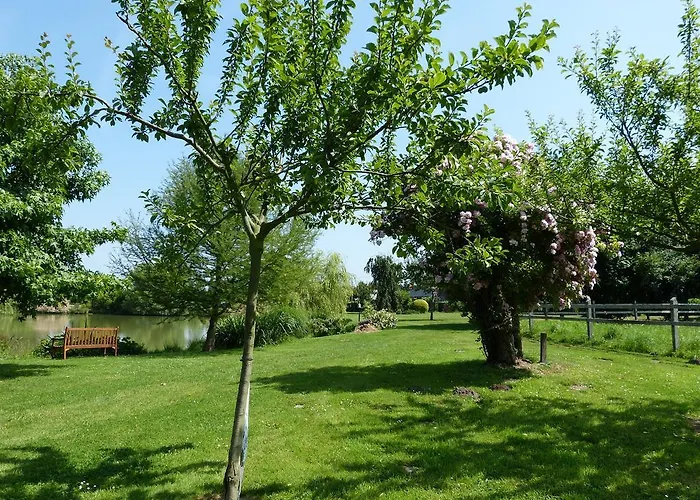 Les Guedrils * Genêts