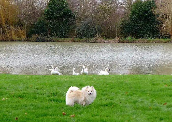 Casa de Férias Les Guedrils *